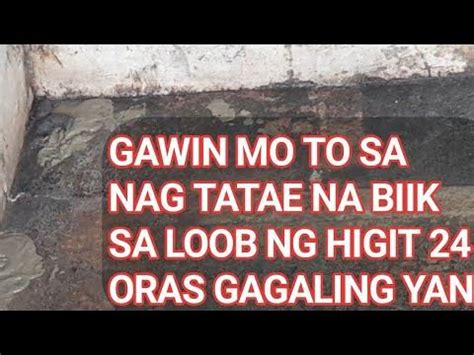MABISANG GAMOT SA PAGTATAE NG BABOY OR BIIK para .